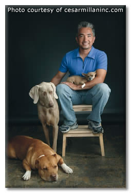 Cesar Millan 'The Dog Whisperer'