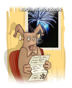 Dogs and Fireworks