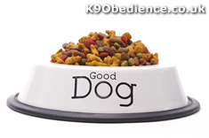 Dog Food Dangers