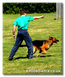 Schutzhund Send Away