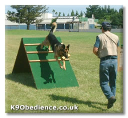 Schutzhund Dumbell Retrieve