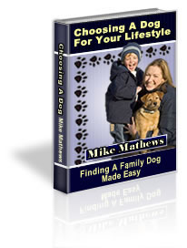 Recommended by K9 Obedience