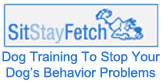 Highly Recommended Dog Training Course