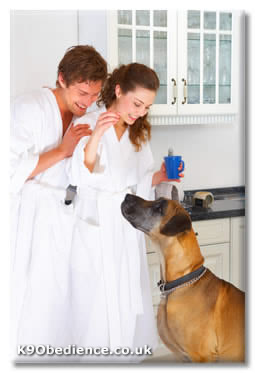 Obviously a set up - No Great Dane owners' bath robes would ever look like that! :-)
